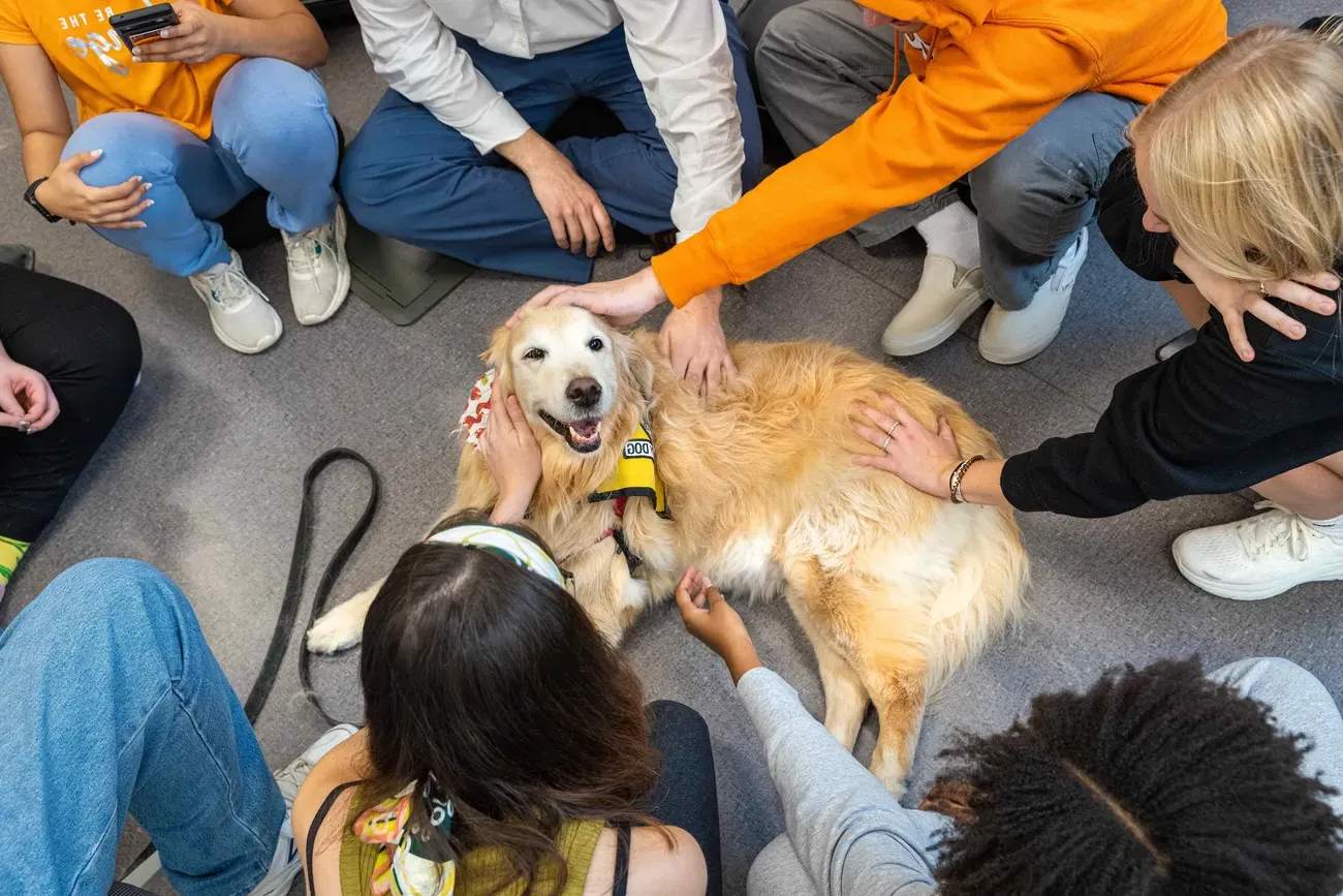 People participating in dog therapy at Barnes Center at the Arch.